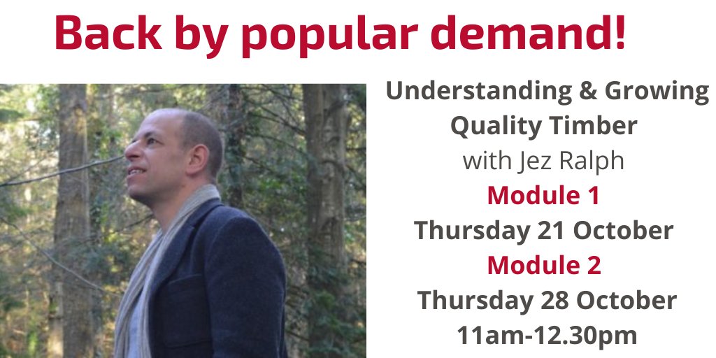 royal_forestry's tweet photo. Interested in improving and optimizing timber quality? Back by popular demand online in October Understanding & Growing Quality Timber with Jez Ralph.
Limited numbers. Book now at https://t.co/BXpy2kqpLl
#timber #timberquality #qualitytimber
@Timberstrategy https://t.co/uQ5AdUXGeu