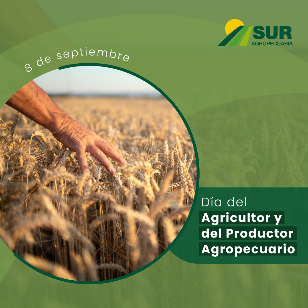 SurAgropecuaria's tweet photo. Hoy los saludamos🙌 en su día por apostar a uno de los principales ejes de crecimiento de nuestro país 🇦🇷.  y agradecemos a aquellos que nos eligen y confían en nosotros. 🤜🤛

#DíadelProductorAgropecuario #campoargentino #SurAgropecuaria #granos https://t.co/WepM25TTBy