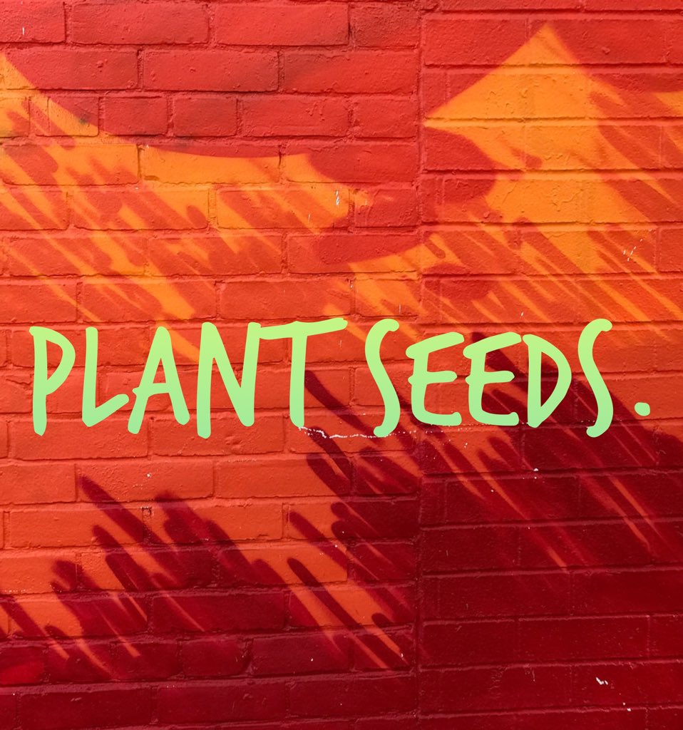 CultureCarriesU's tweet image. Speak positivity into someone today. Encourage someone today. Even the smallest interactions can change lives. Keep planting seeds. #impact #seedplanter