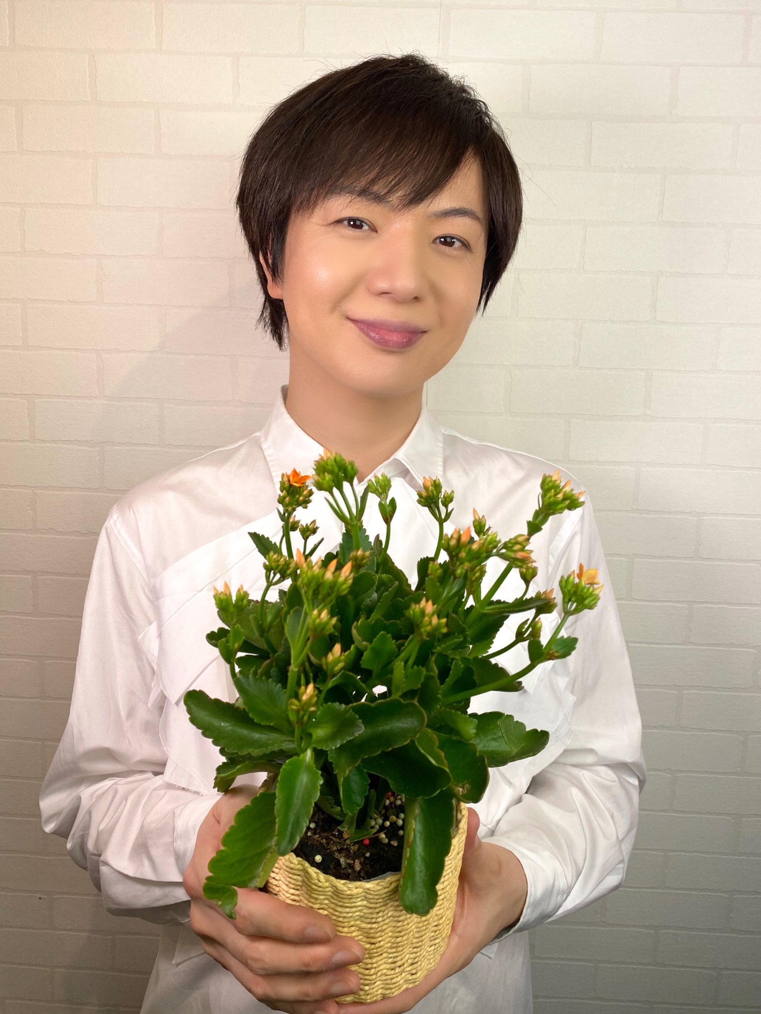 竹島宏スタッフ 公式 カランコエ 花言葉は あなたを守る 皆さんを守るパワーに なりたい 僕がいつも思っていること カランコエの花言葉と同じ 今日も1日お疲れ様でした 嬉しい日になりました ひろネット 花便り 花言葉 花 花を贈 竹島宏スタッフ 公式 カランコエ 花言葉は あなたを守る 皆さんを守るパワーに なりたい 僕がいつも思っていること カランコエの花言葉と同じ 今日も1日お疲れ様でした 嬉しい日になりました ひろネット 花便り 花言葉 花 花を贈