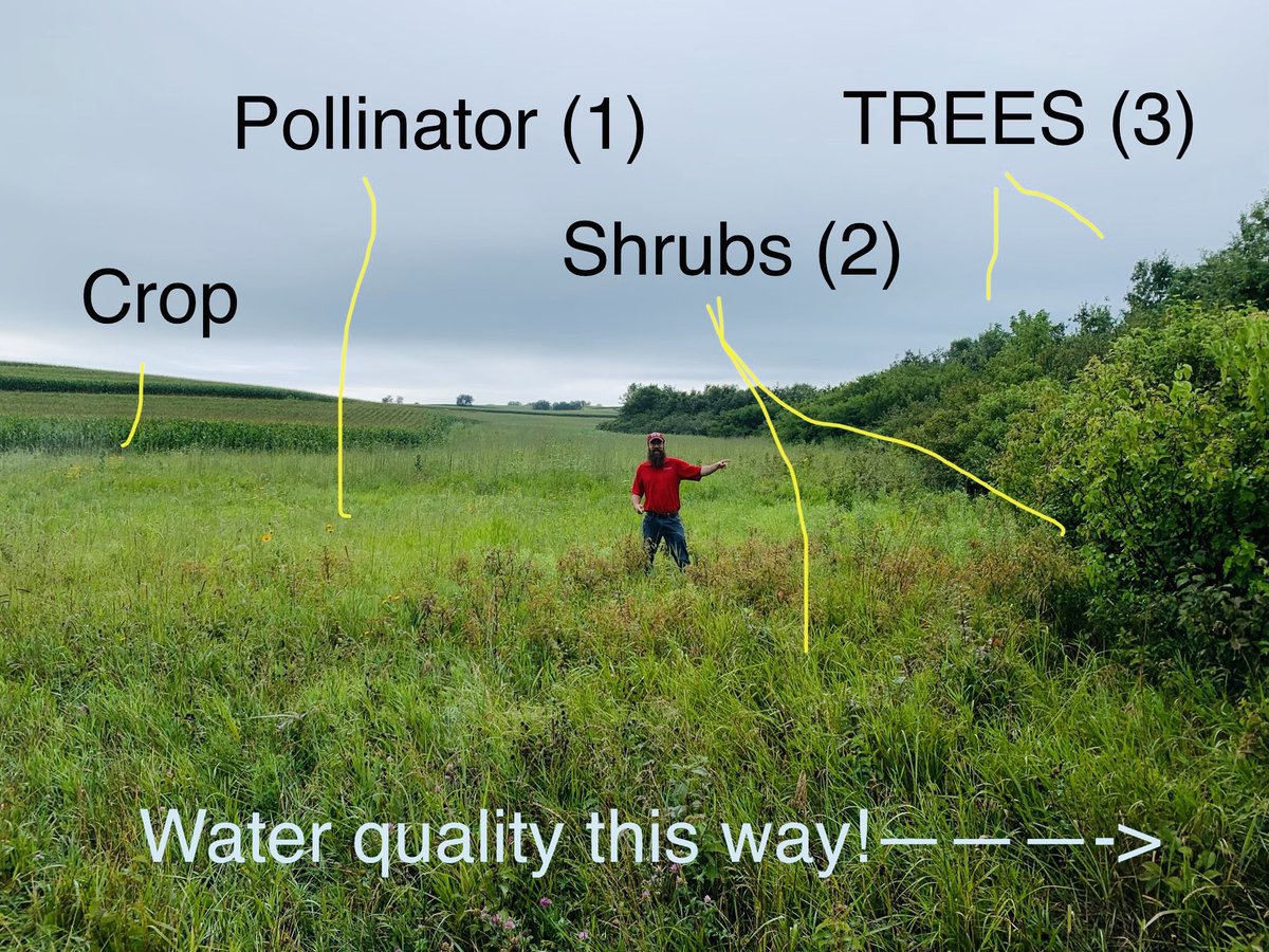 “Stream to Forest” #waterquality practice tour is 9/16, north-central IA!

Pre-register today: naturalresources.extension.iastate.edu/field-day-stre…

<a href="/iowadnr/">Iowa DNR</a> <a href="/ISUANR/">ISU ANR Extension</a> <a href="/IowaNRCS/">NRCS_Iowa</a> 

#trees #forests #forestry #riparianbuffers #conservation #wetlands #iowastate #iowa