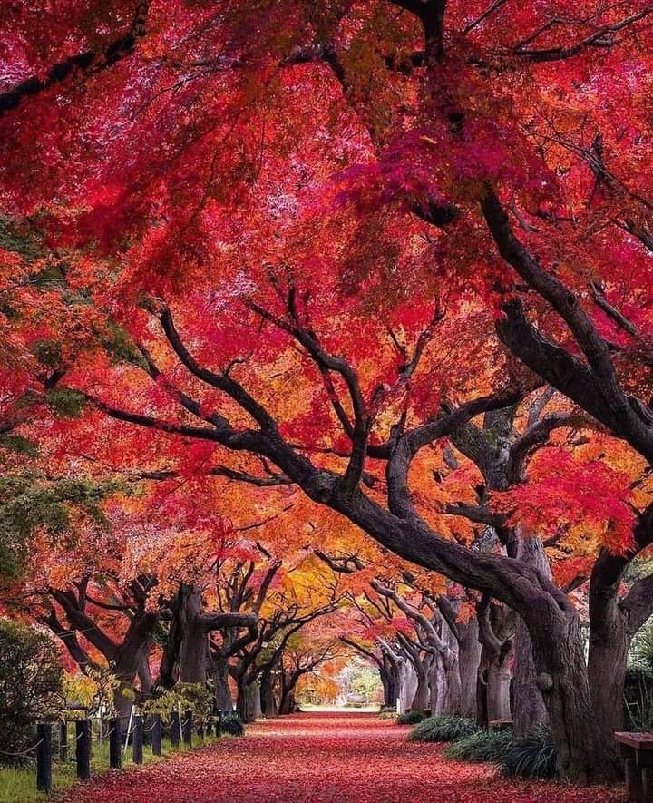 ...

.

.

 Te das CUENTA,
   DE lo que significas, 
      Para ALGUIEN,
         Cuando te regala TIEMPO,
            De ESE que no tiene,

                Pero invento para TI..."

.

.