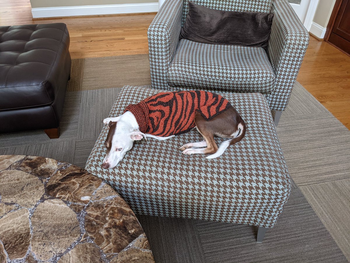 clholgat's tweet photo. 6 months ago I bought a 40 year old knitting machine, learned how to use it, replaced it's guts with an Arduino and wrote some code to generate patterns.

Here's the result: Lola in her custom tiger sweater https://t.co/clqoQACdS2