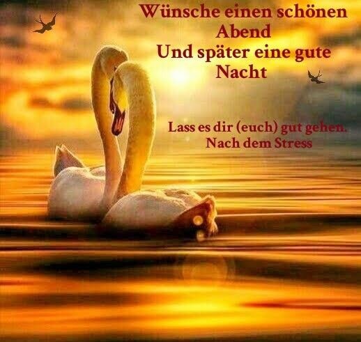 renate k no twitter kristina7968 hallo liebe kristina wunsche dir einen wunderschonen und entspannten abend lass deine seele baumeln und erhol dich gut spater hab eine gute und erholsame nacht https t co nrhcjcpnem