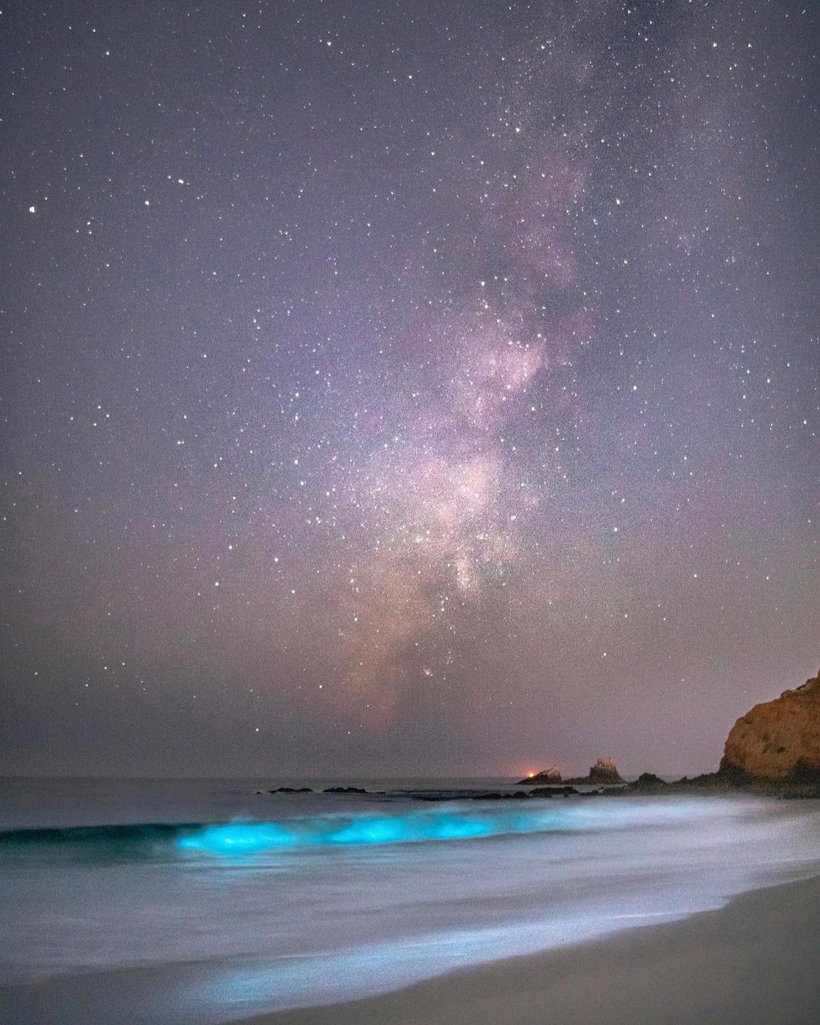 Visit Laguna Beach on Twitter "💫 Bioluminescent waves & the Milky Way