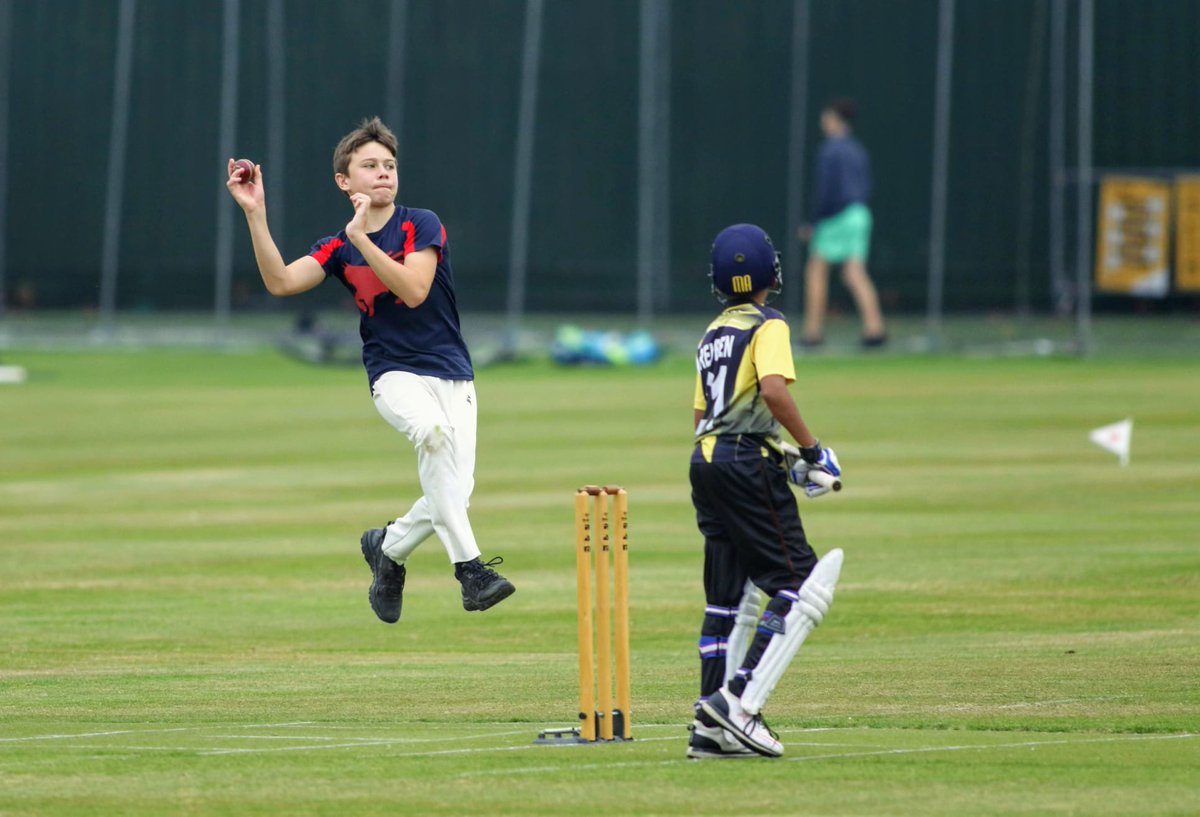 Cricket Leinster tweet media