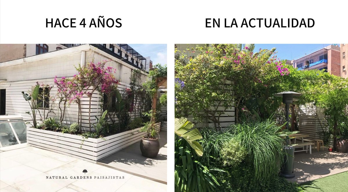 Natural Gardens tweet media