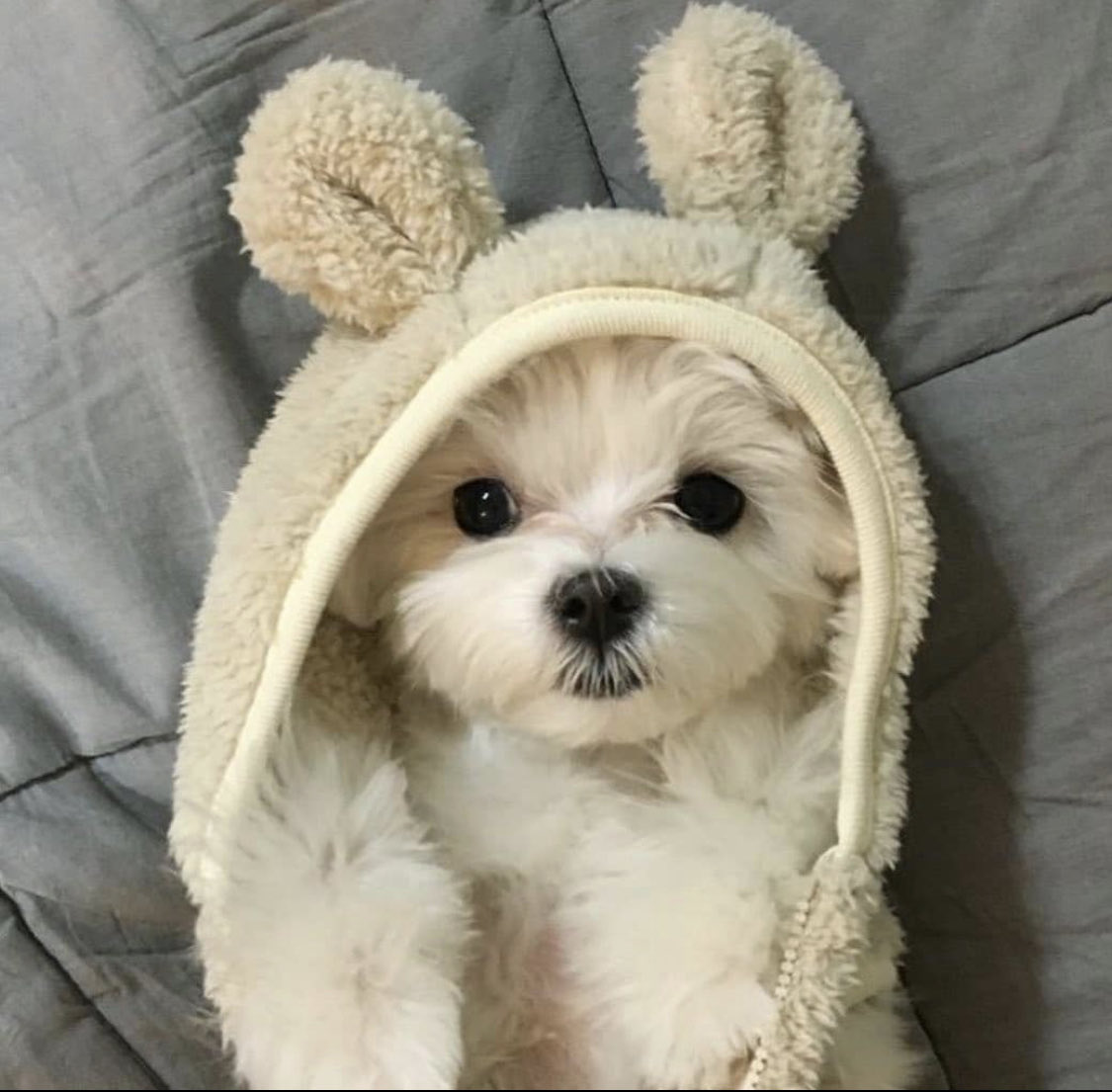 🧸 (@0913film) on Twitter photo 