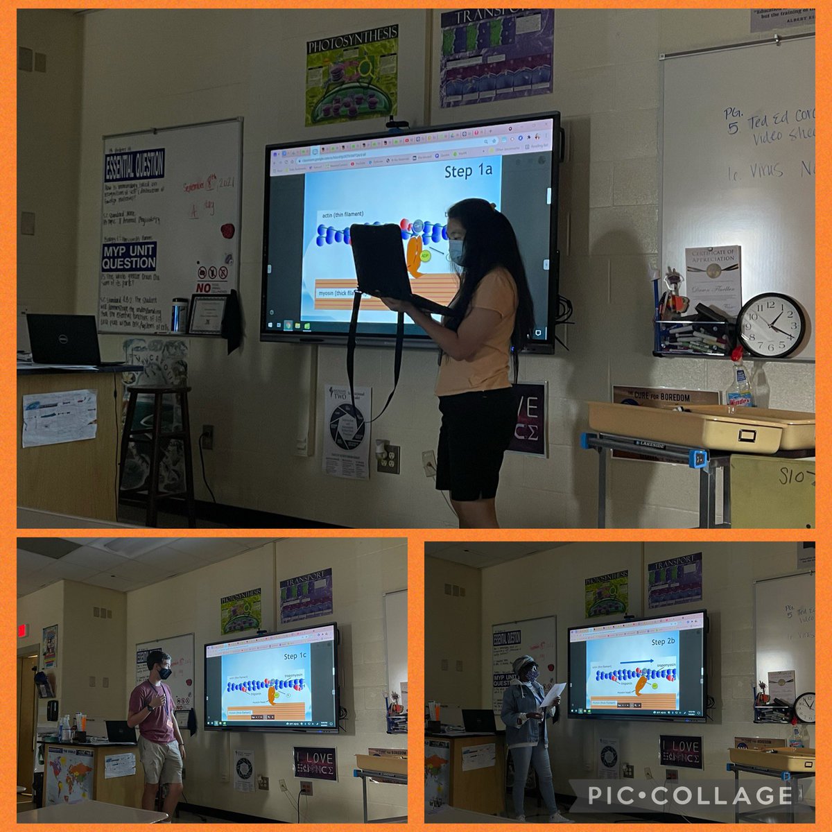DawnCisneros's tweet image. #IBBiologyHL is learning about muscle contraction by presenting steps of the sliding filament theory to their classmates! #science #musclemovement @rne_ib @RNECavaliers @mark1_sims @VrhodenVanessa