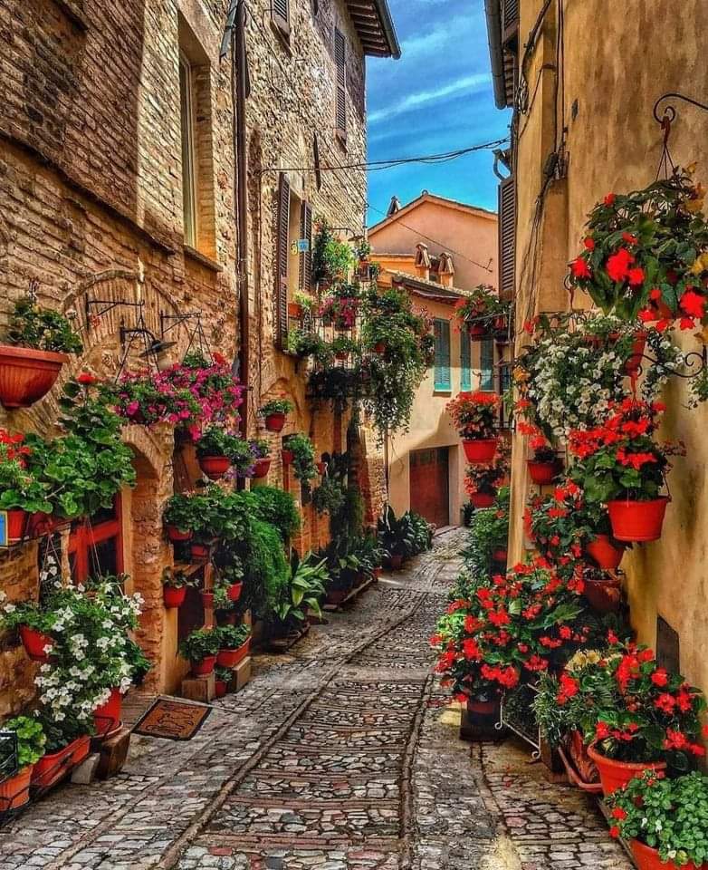 must_travel's tweet image. Spello, #Italy. #travel #musttravel