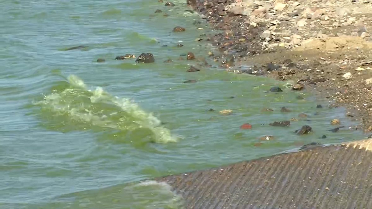 ABC30's tweet photo. Officials with the Department of Water Resources have asked everyone to avoid any contact with the water or the shore at the San Luis Reservoir. https://t.co/dp78NYNTTN https://t.co/ibQjYeCQL2