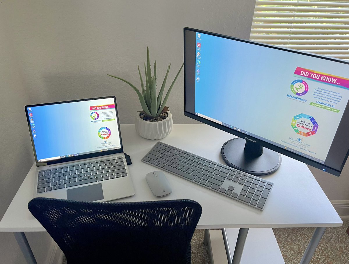 Elizabeth Nash tweet media