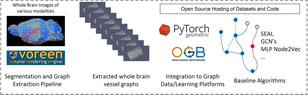 jocpae's tweet image. (2/n) We extract a set of standardized whole-brain vessel graphs based on whole, segmented mouse brains from various imaging sources & publicly release our data in an easily accessible and adaptable format for #graphlearning by implementing #OGB and #PyTorchGeometric data loaders