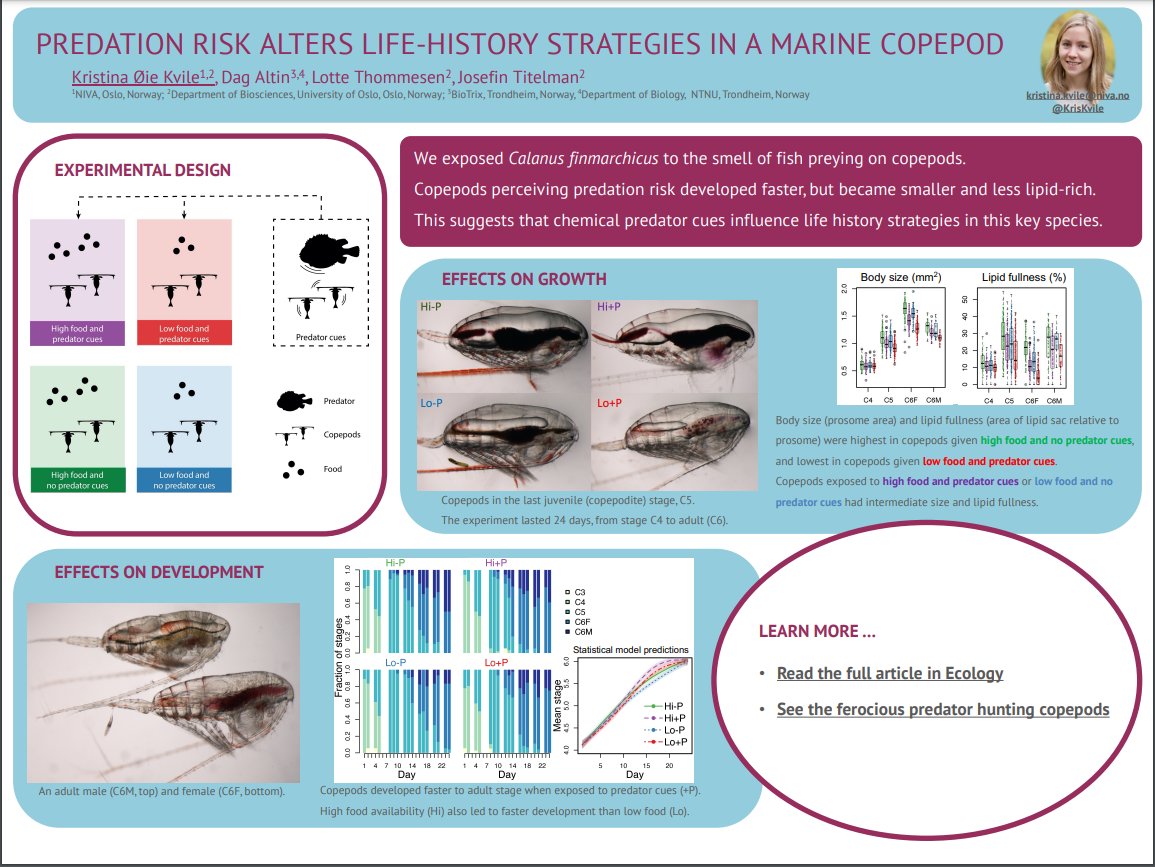 Attending  #ICESASC21? Check out my poster on #predation effects on #zooplankton #LifeHistory in session D! Hoping for questions, comments and votes!