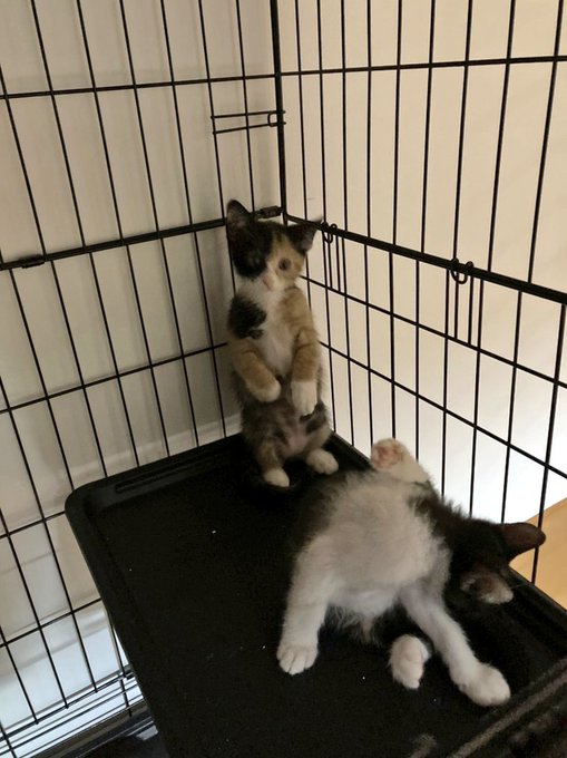 今日はサービスショット沢山やね～ 