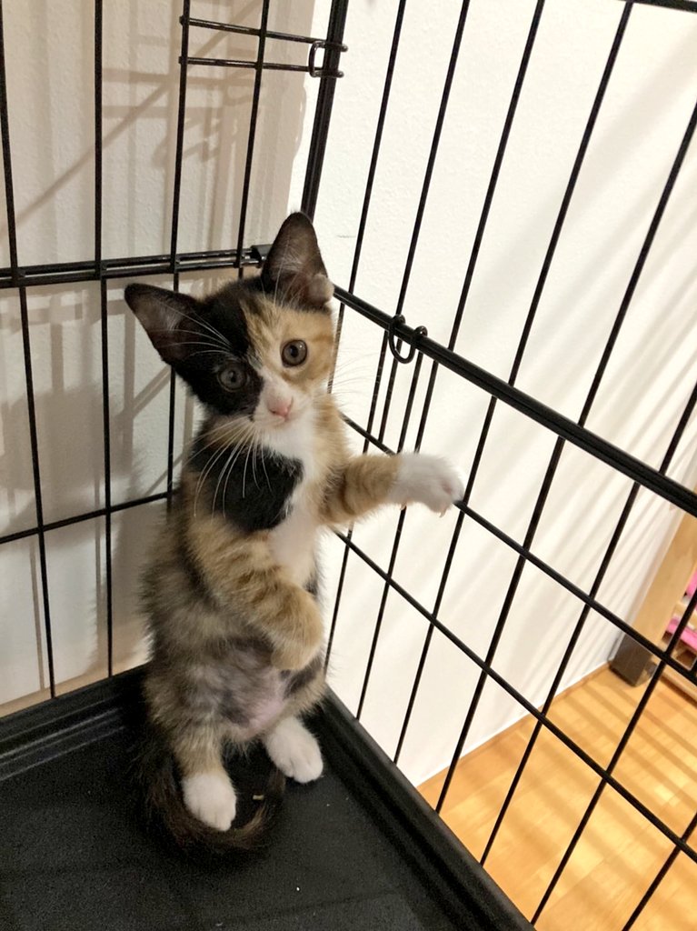 今日はサービスショット沢山やね～ 