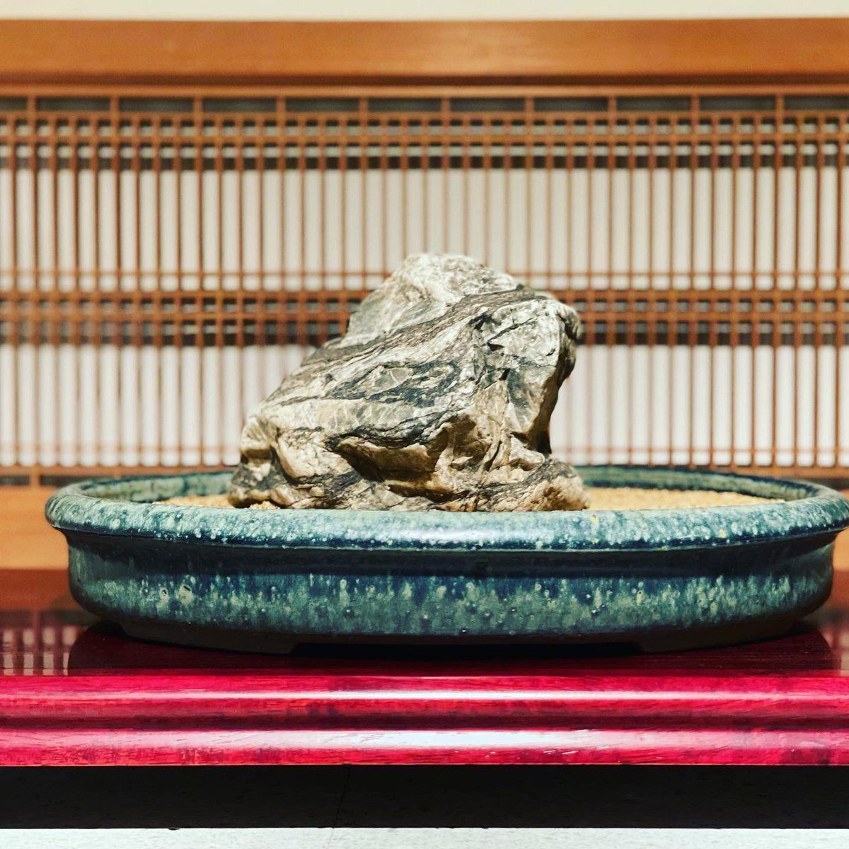 bonsai_suiseki's tweet photo. A magnificent tiger stone。
I set it at the front door.
なんとも堂々とした虎石。
玄関にドーンと置いてみました✨
#虎石
#tiger
#tigerstone
#水石
#stone
#盆栽
#bonsai https://t.co/6EZvzeLWIk