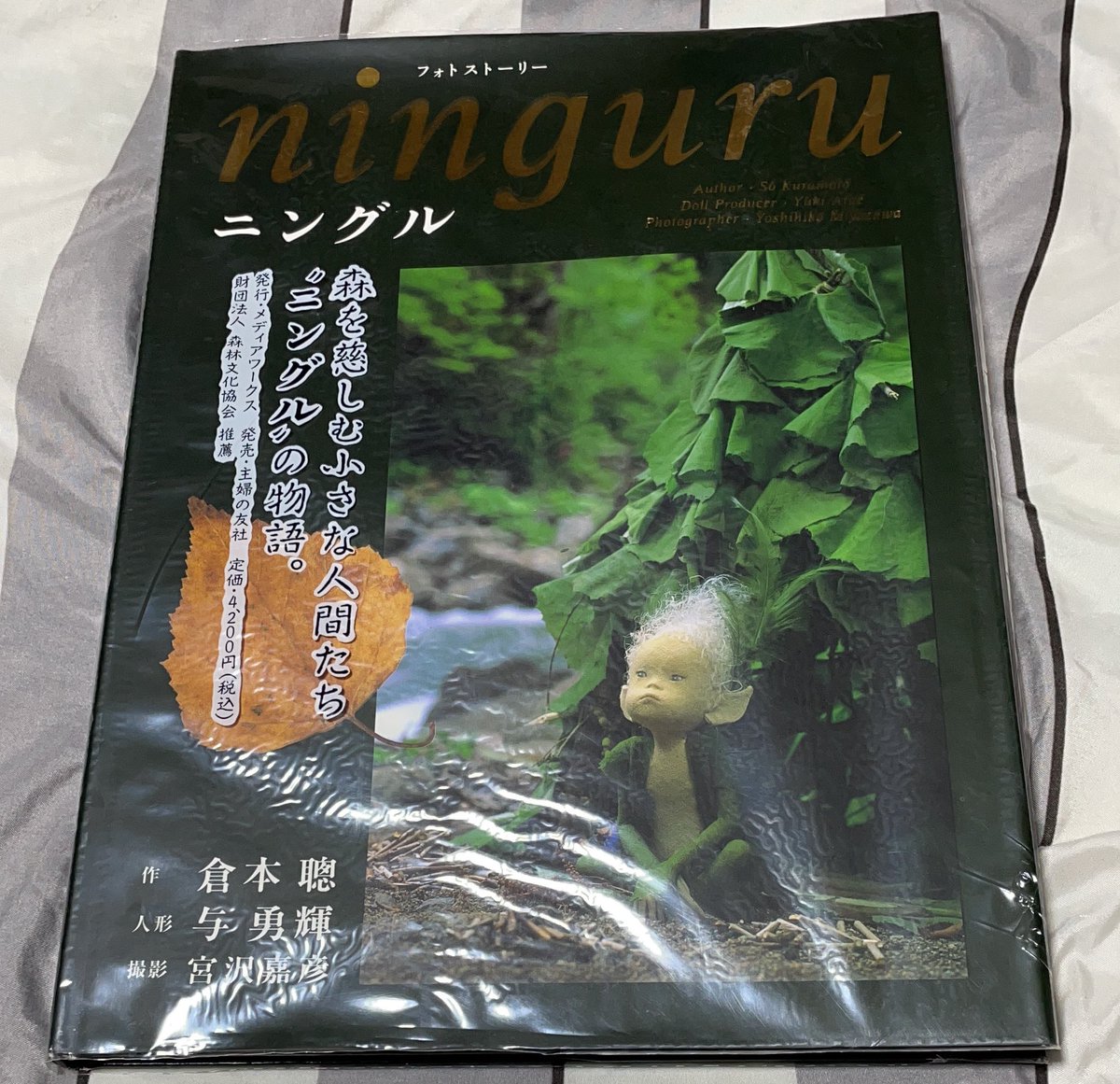 のサイズ 専用 徹子の部屋でも飾られている有名な人形作家 アンティー