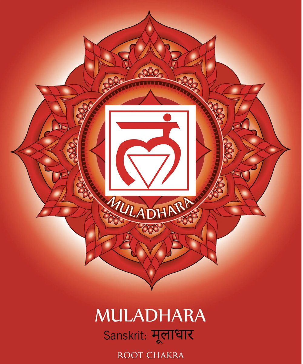 kingmantragedy's tweet photo. Mūlādhāra is the chakra of stability, security, and our basic needs. The root chakra is comprised of whatever grounds you to stability in your life. 
 #WisdomWednesday #ChakraWednesday #Yoga #BeWell #BeTwistedYoga #KingmanYoga #WeYogaWildly https://t.co/cGrcHKvUEn