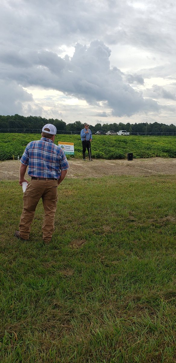 Great morning for a field day 
#UGAresearch #GaCotton #GaPeanuts #FieldDay