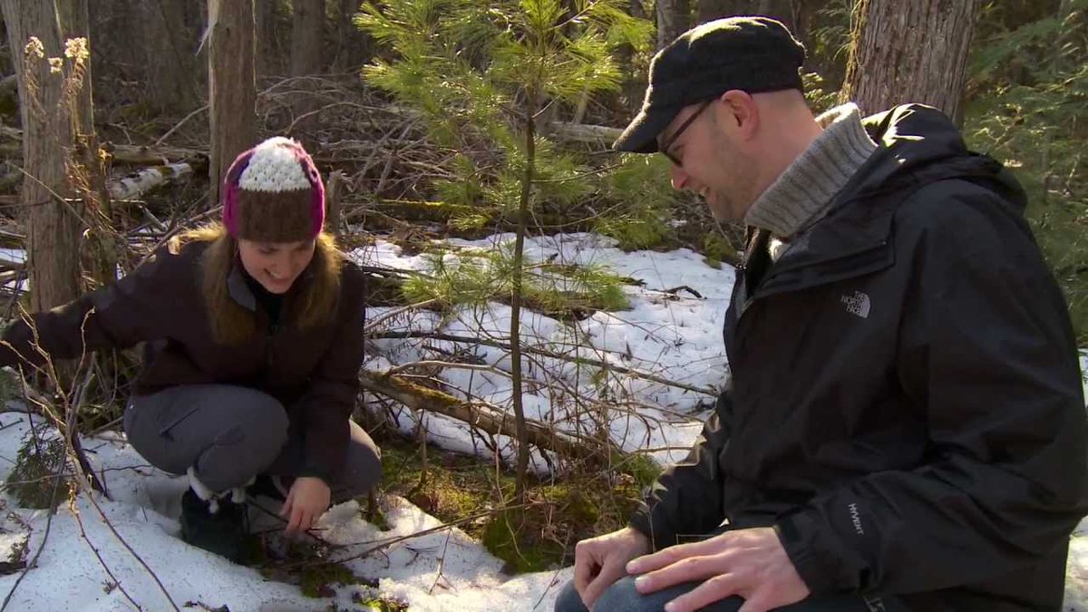 #UTMBiology #WednesdayWisdom
<a href="/UTMebs/">Erindale Biology Society</a> 
Why take #BIO399?

Reason #3
Find out more about “undead zombie” flowers in BIO339.
zcu.io/wPPT