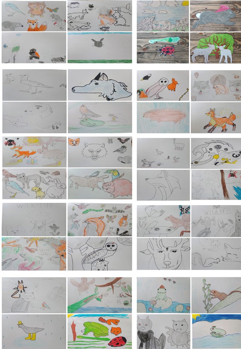 Matt Brown Exercise Is Medicine (@exercisebrown) on Twitter photo Just wanted to say a big thank you to all the extremely talented students at Seymour Road Academy, thank you all so much for contributing towards our local art project by sending in your wildlife pictures.
<a href="/buzzmanc/">@buzzmanc</a> <a href="/McrSettlement/">ManchesterSettlement</a> <a href="/AncBradClayINT/">Ancoats, Bradford and Clayton INT</a> <a href="/4CT/">4CT🐝 💙</a> <a href="/wiseowltrust/">Wise Owl Trust</a> Just wanted to say a big thank you to all the extremely talented students at Seymour Road Academy, thank you all so much for contributing towards our local art project by sending in your wildlife pictures.
<a href="/buzzmanc/">@buzzmanc</a> <a href="/McrSettlement/">ManchesterSettlement</a> <a href="/AncBradClayINT/">Ancoats, Bradford and Clayton INT</a> <a href="/4CT/">4CT🐝 💙</a> <a href="/wiseowltrust/">Wise Owl Trust</a>