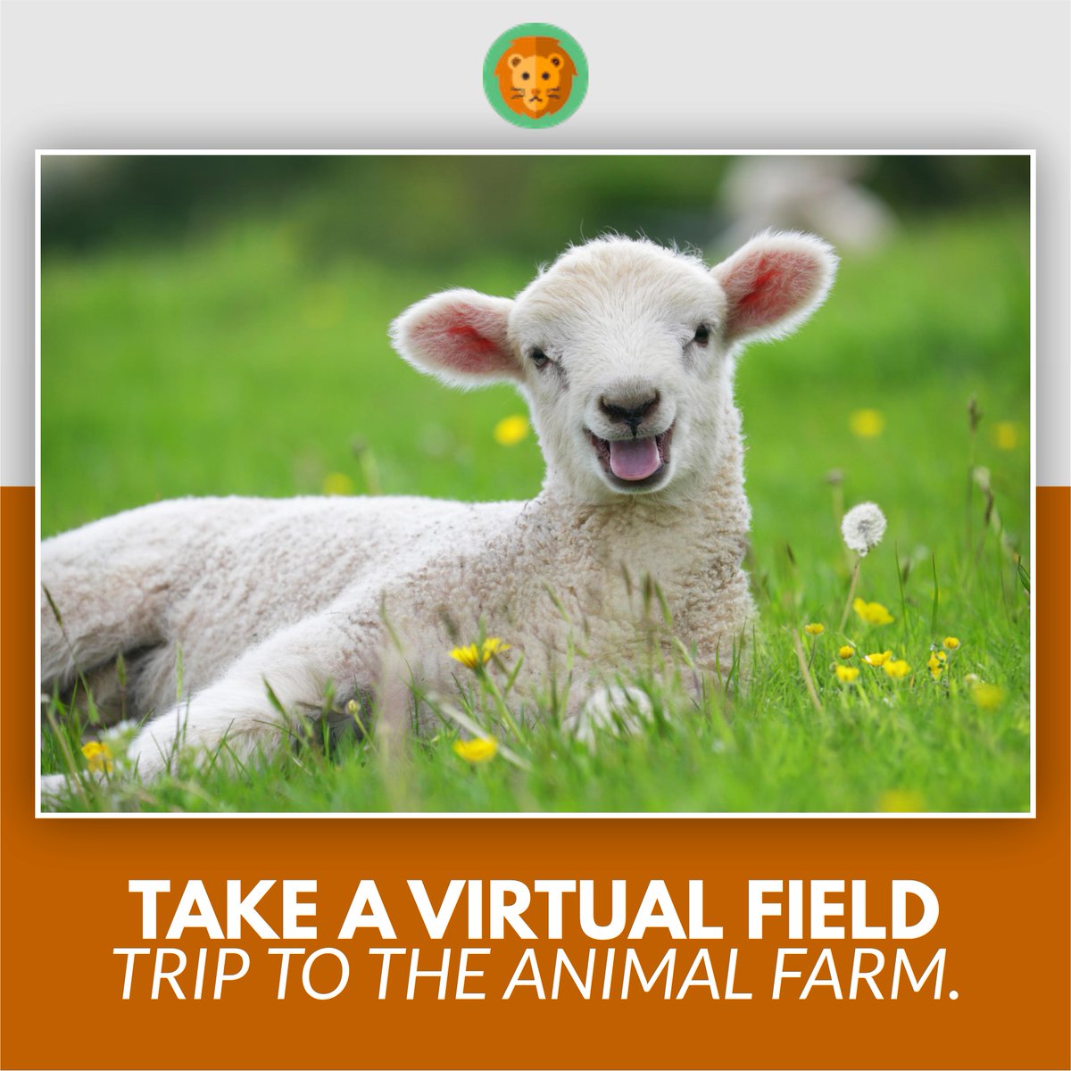Zoptiks_'s tweet photo. On this dairy farm virtual field trip, students have the chance to see the cows up close and personal and meet farmers. Bring 10 realistic 4D farm animal holograms to life right at home.
#farming https://t.co/YcJgR0GWQj