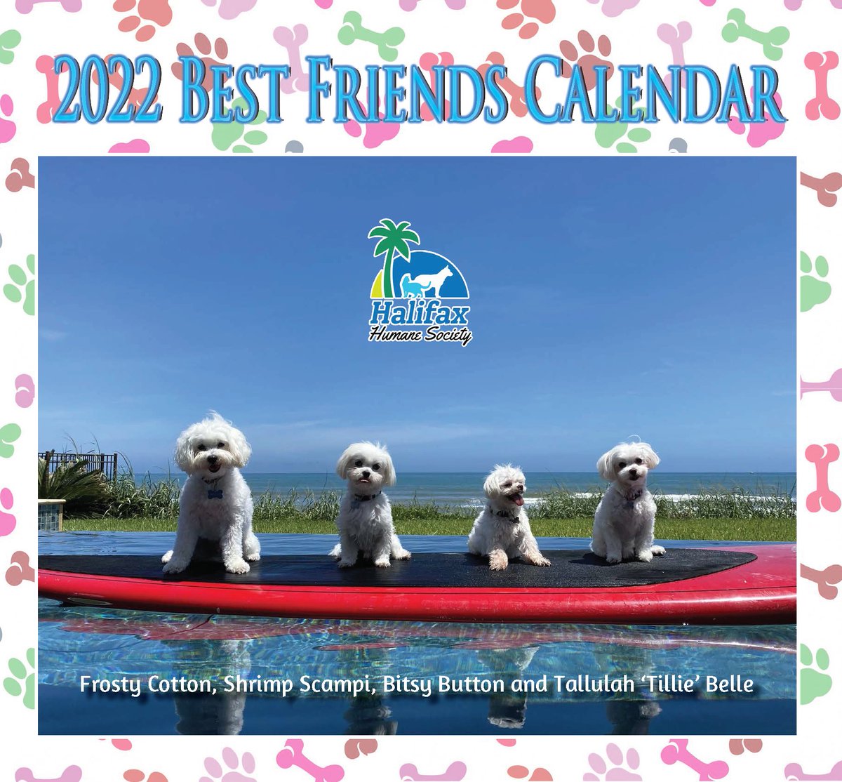 Halifax Humane Society Christmas Event 2022 Halifaxhumanesociety (@Halifax_Humane) / Twitter