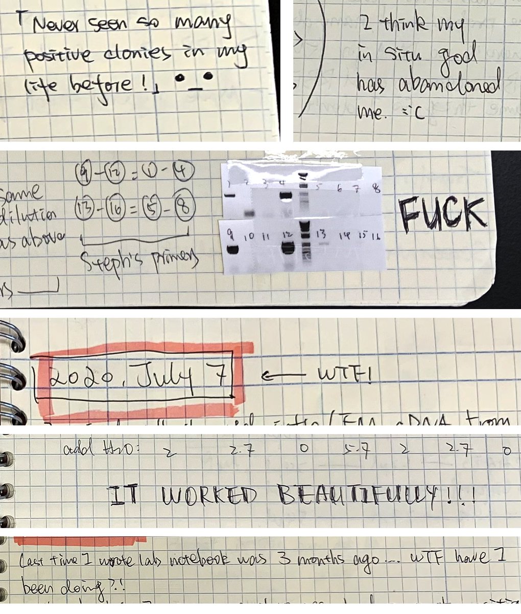 0_minyaaa's tweet photo. Skimmed through my PhD lab notebook one last time this week - almost brought me into tears. My lab notebook is like a diary of grad school, recorded all the raw emotions, and also how often my experiments failed. Like, most of the time actually and it was pretty hard lol. 🥲🥲🥲 https://t.co/6UgjW9ukyS