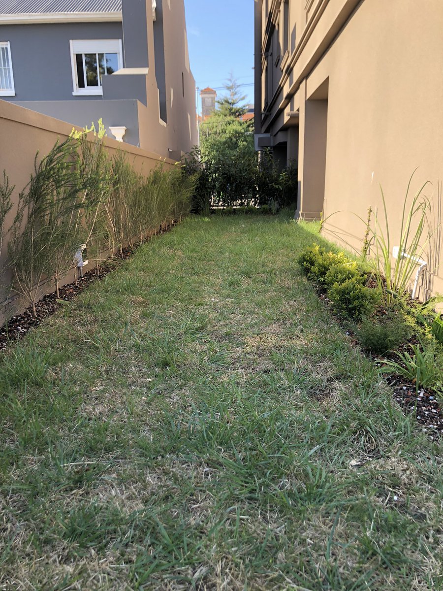 Euge Maiolino tweet media