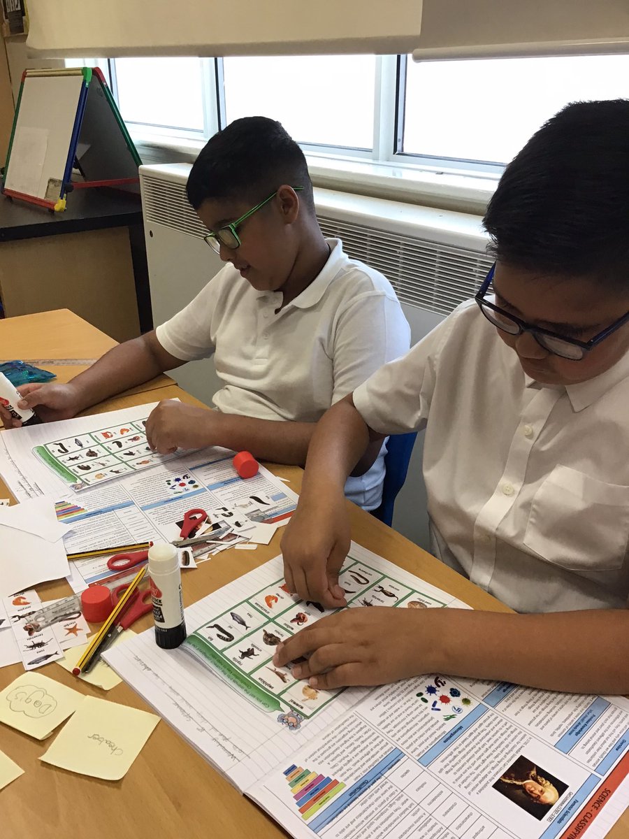 alstonprimaryb9's tweet photo. Year 6 have been learning how to group and classify animals according to their characteristics. #Science #ClassifyingOrganisms https://t.co/HifRR8KEna
