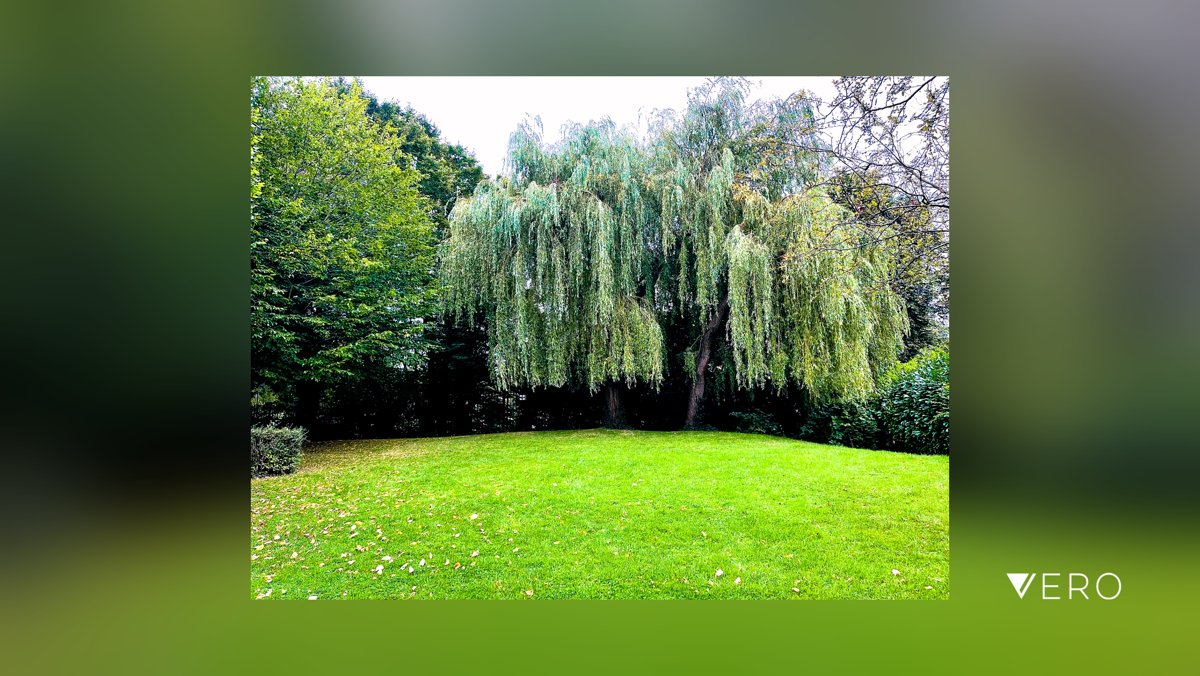 Open4Smart's tweet image. Nice to be back home! #OpenSmart#Tree #TranquilScene #Nature #Green #Outdoors #Field #ScenicsNature vero.co/opensmart/xC-B…