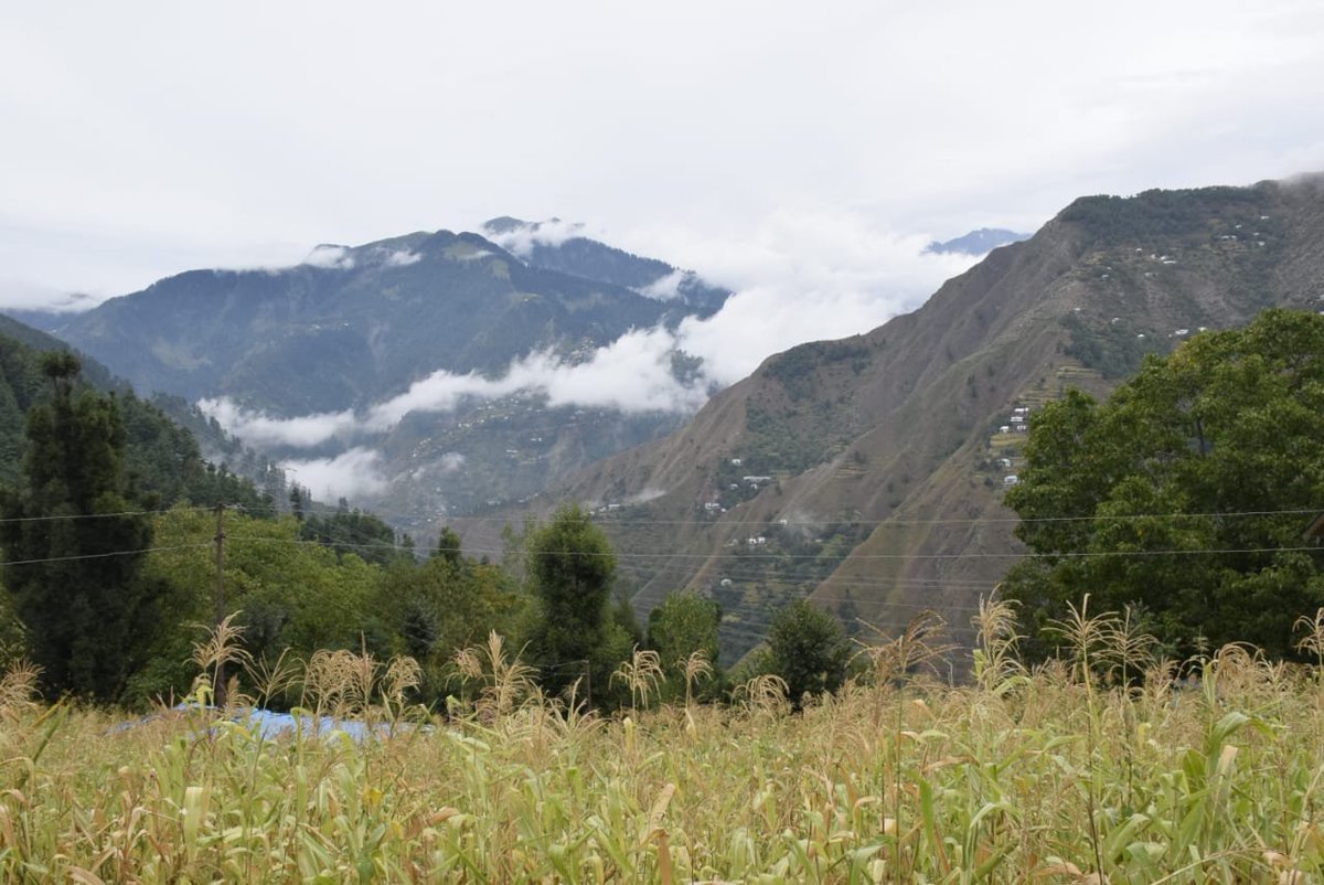 dcramban's tweet photo. A panoramic view of Banihal, in Ramban District, from the maize fields of Chamalwas. @JandKTourism @incredibleindia @WorldTourisms @KeralaTourism https://t.co/rS7DNypMzc