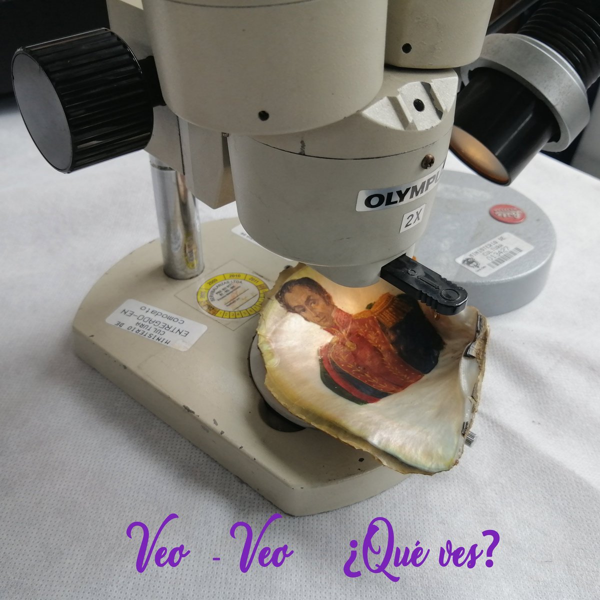 Quinta de Bolívar tweet media