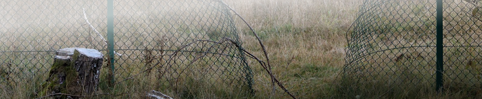 CfP: Moving in a divided world - Transnational crime, national borders and ­ irregular migration
Deadline: 3 October, 2021.
University of Bielefeld, Germany - 11 July—13 July 2022.

imiscoe.org/news-and-blog/…