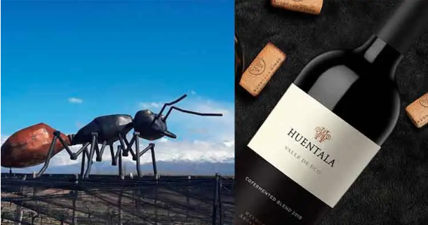 Nuevo cofermented blend

fabricioportelli.com/huentala-nuevo…

<a href="/HuentalaWines/">Huentala Wines</a>