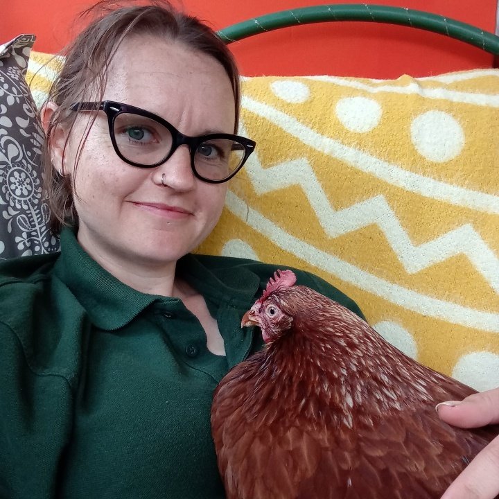 Hamilton's Hens tweet media