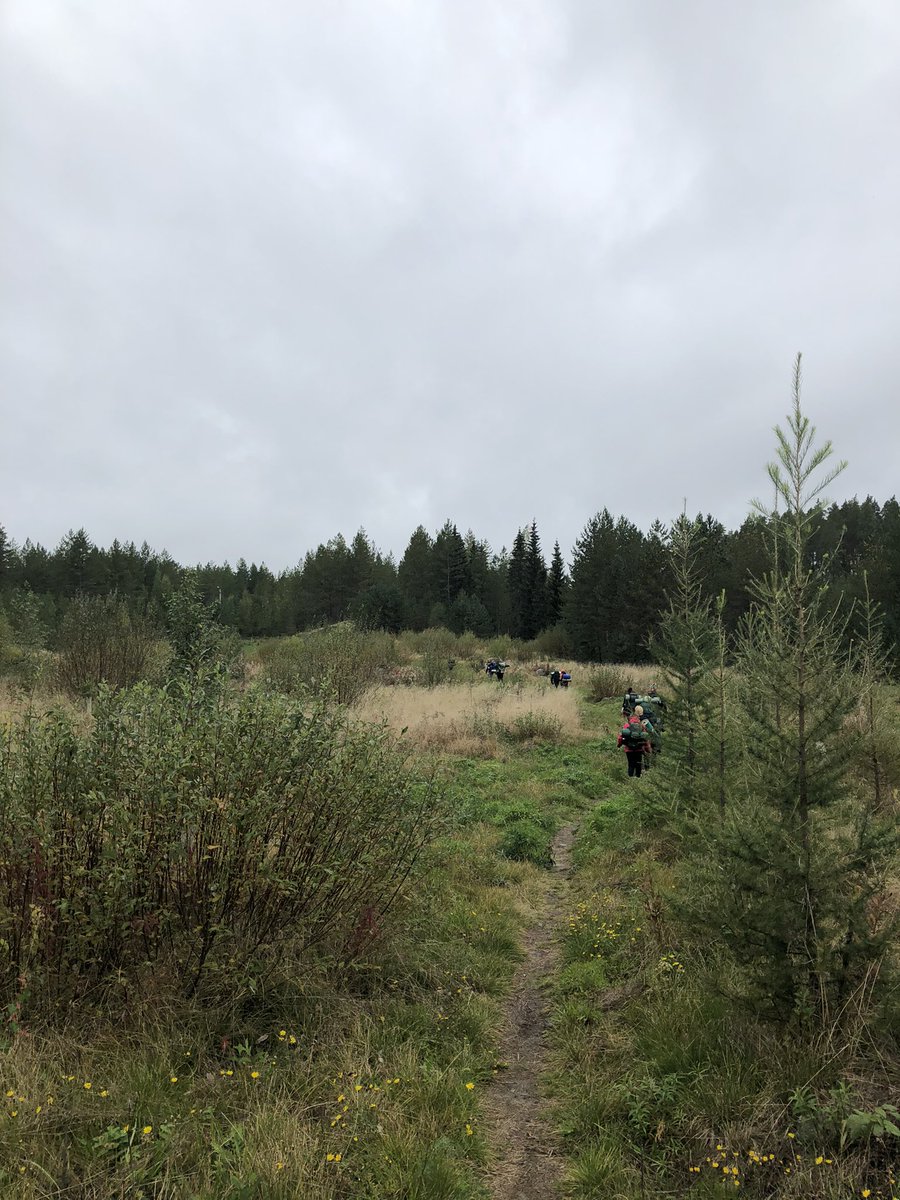 suonenjoen's tweet photo. Eräkurssi suuntaa metsään opiskelemaan. Keli on kohdillaan! https://t.co/9mtizCVyzG