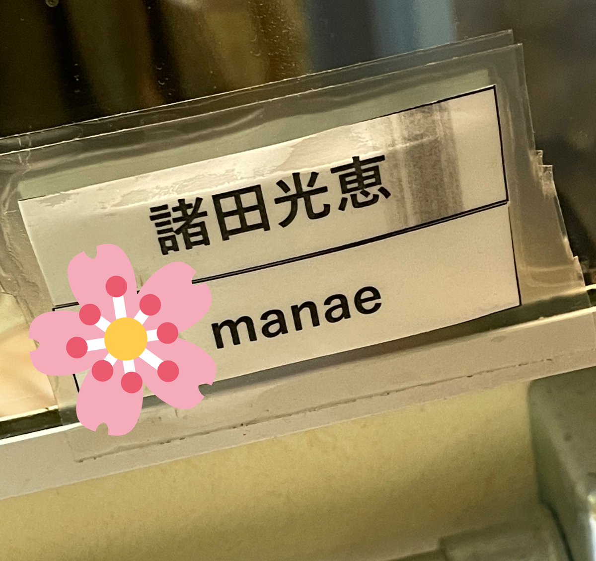 Shimogamoshasow 冬雷 の出演者たち