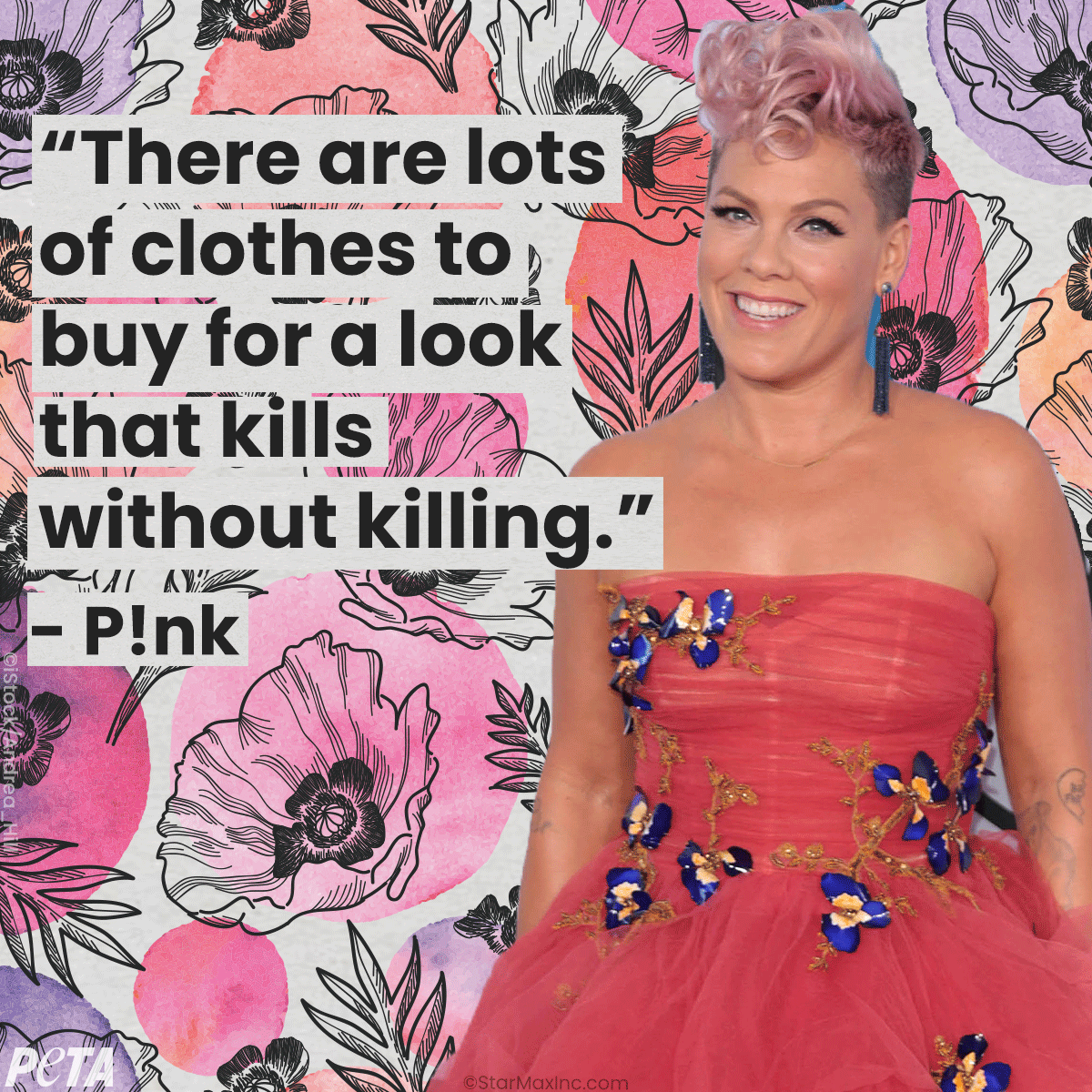 peta's tweet photo. The world is more colorful and kind with @pink in it 💞 Wishing our friend and animal rights activist P!nk a super happy birthday! https://t.co/hLyo6A0VPw