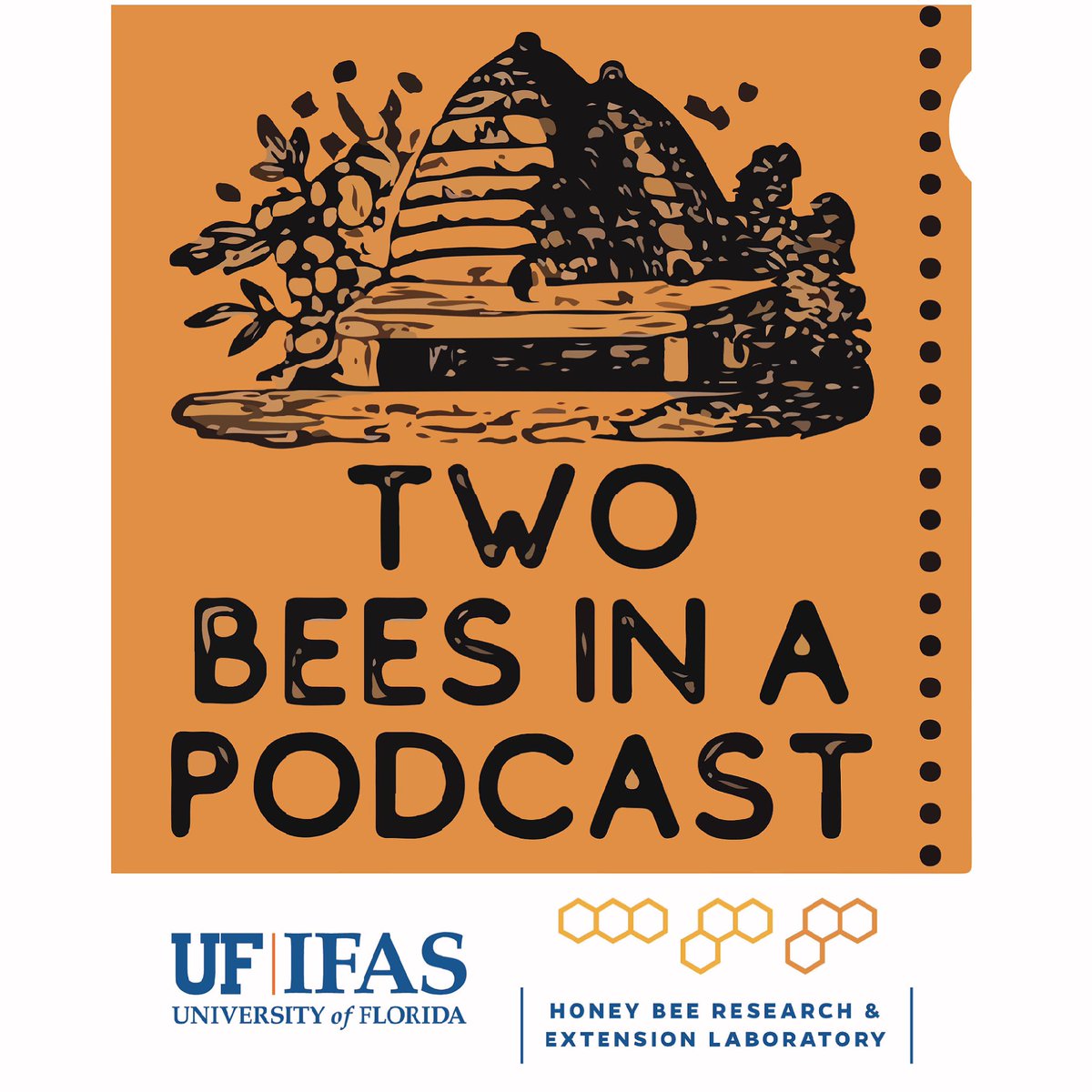 UFhoneybeelab's tweet photo. In today’s episode, we are joined by Dr. Daniel Potter to discuss how to support bees in urban spaces. Then Jamie and Amy discuss honey bee pest management, focusing on fungi. We end with Q&amp;A. To listen, visit our website! #UFHoneyBeeLab #UFbugs #UFbees #UFHoneyBee  #Supporting https://t.co/zGa66Pnz2n