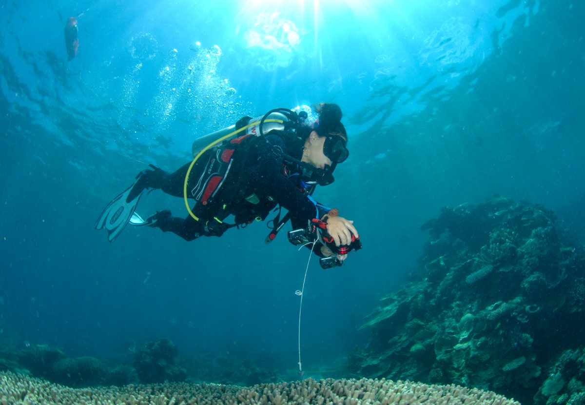 In 3. 2. 1... The Allen Coral Atlas has completed mapping the world’s tropical coral reefs! Check out the first-ever global habitat maps featuring benthic and geomorphic data available on the Atlas. Learn more about this major coral mapping milestone: allencoralatlas.org/blog/mapping-t…