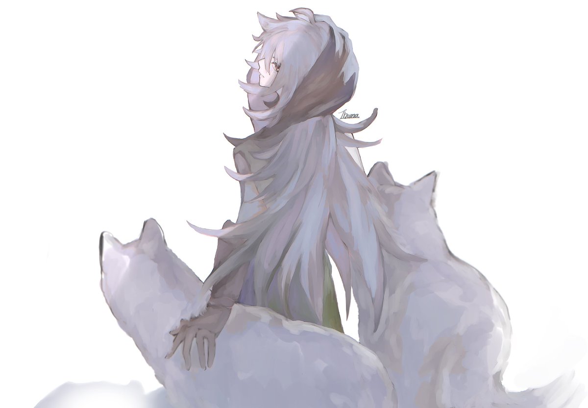 razor (genshin impact) wolf long hair 1boy male focus simple background white background grey hair  illustration images
