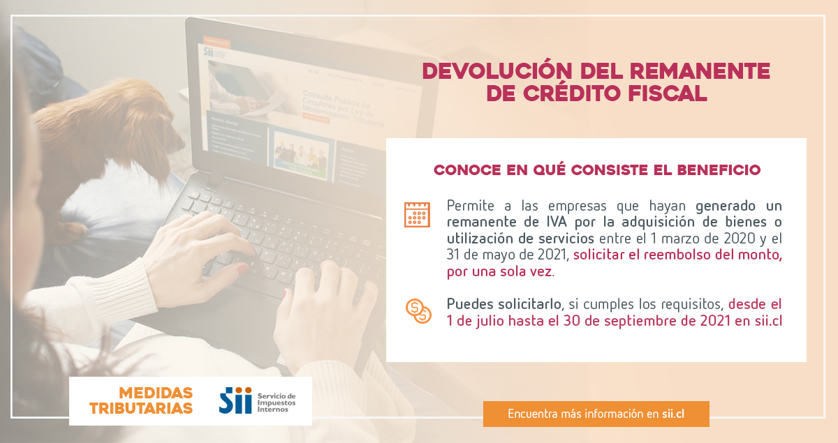 SII_Chile's tweet photo. [MEDIDAS TRIBUTARIAS] Recuerda: este año tenemos una serie de medidas de apoyo para facilitar el cumplimiento tributario a micro, pequeñas y medianas empresas. Una de ellas es la devolución del Remanente de Crédito Fiscal, la que puedes revisar en esta gráfica 👇 https://t.co/dDSnjdfCwK