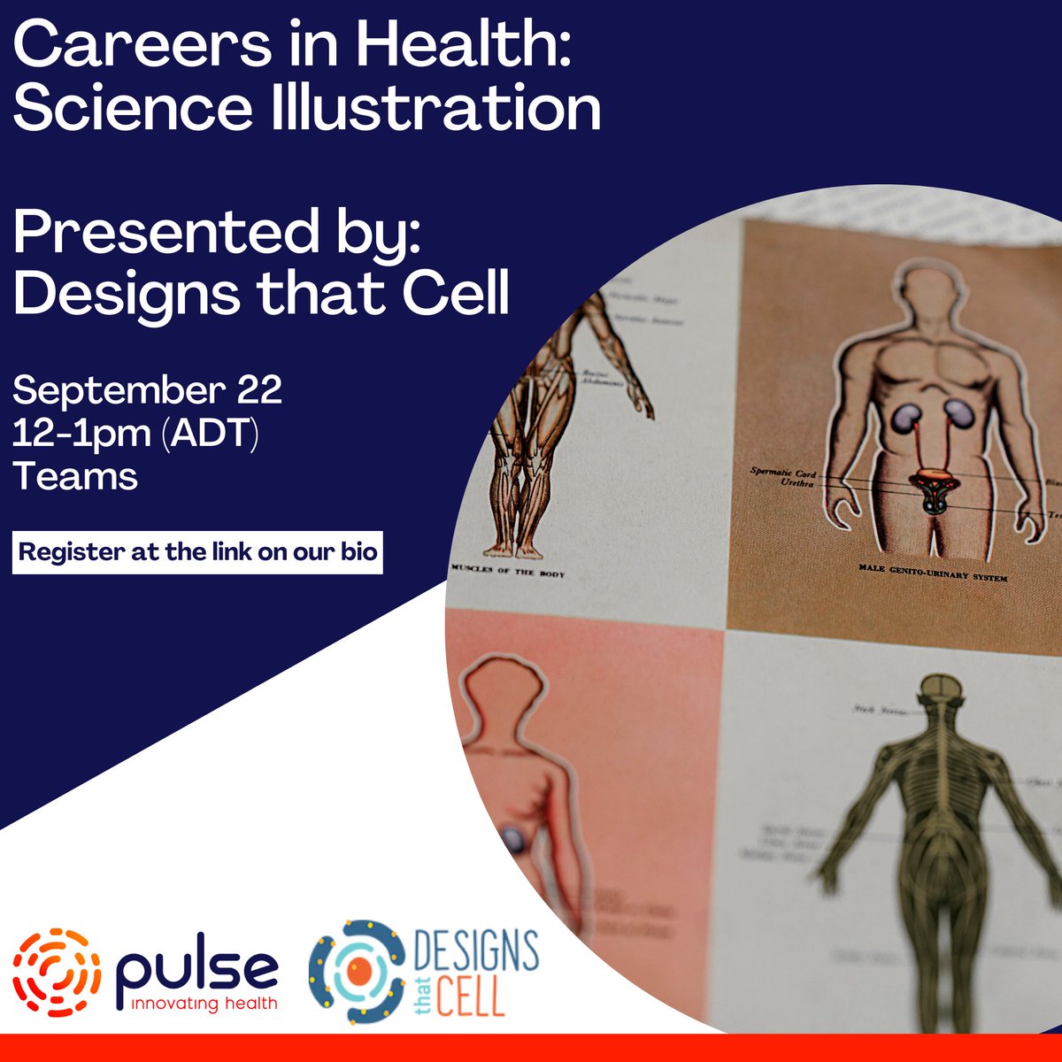 Pulse - Health Innovation Network (@innovatepulse) on Twitter photo Interested in learning about alternative careers in the health and life sciences? Come join Pulse and <a href="/designsthatcell/">Designs that Cell</a> to learn more about a career in science illustration! This online seminar will be September 22, from 12-1pm (ADT).
Sign up here: forms.gle/KUFAPnYv2owRmF… Interested in learning about alternative careers in the health and life sciences? Come join Pulse and <a href="/designsthatcell/">Designs that Cell</a> to learn more about a career in science illustration! This online seminar will be September 22, from 12-1pm (ADT).
Sign up here: forms.gle/KUFAPnYv2owRmF…