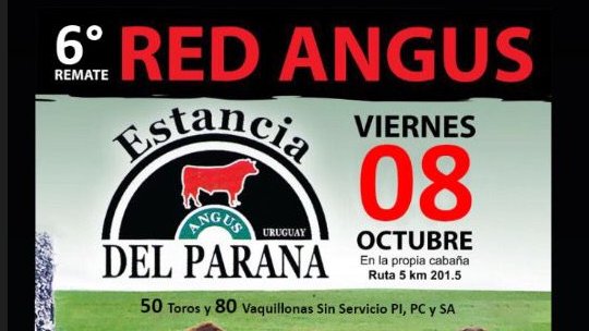 EN UN MES‼️‼️ Los esperamos en la propia estancia o por directv. Remate Ramos y Garcia.