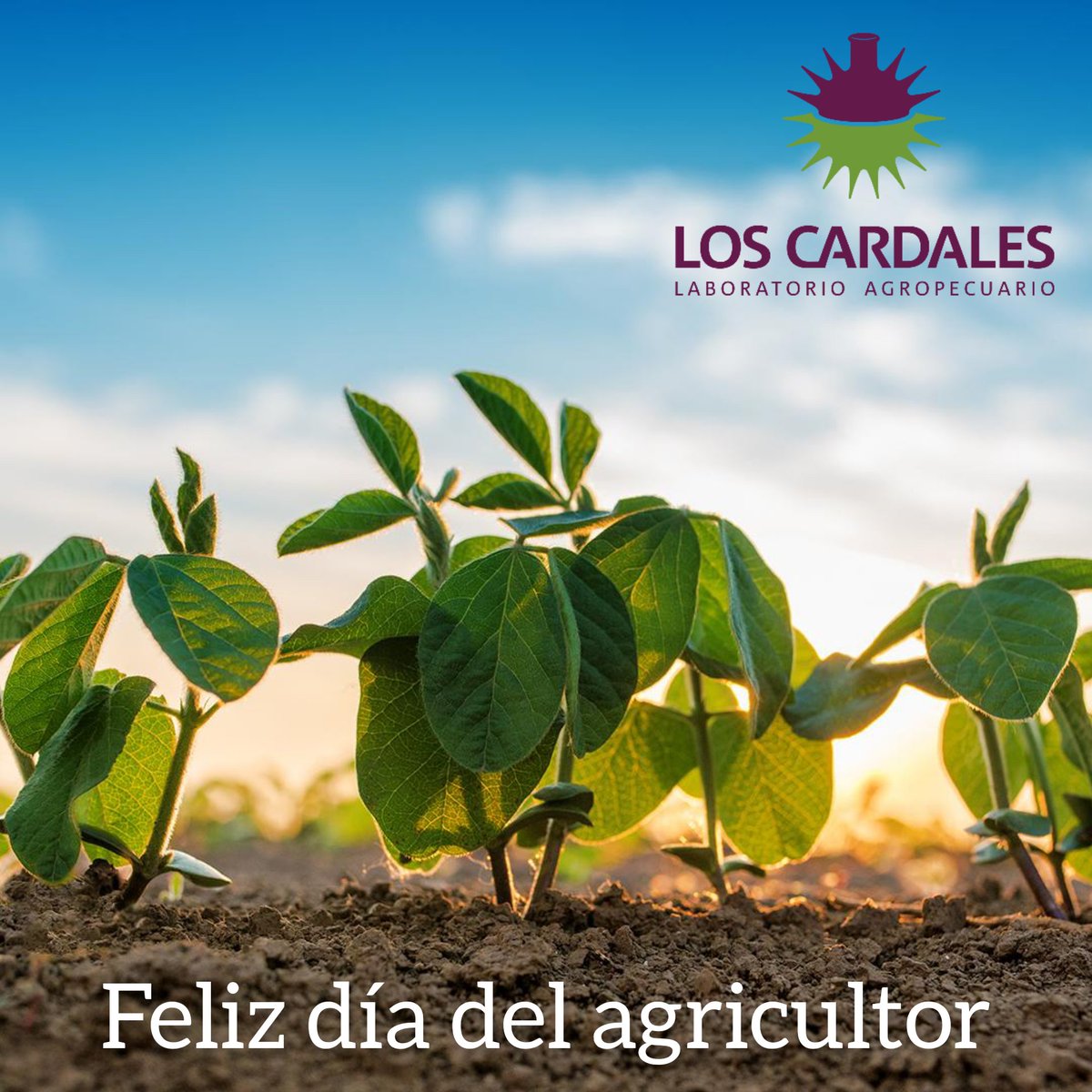 Los Cardales (@loscardalesagro) on Twitter photo 