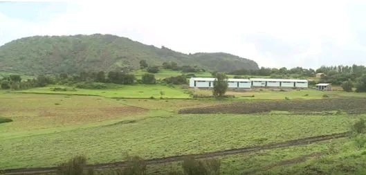 "Destroying schools and hospitals should be a war crime". The heroic athlete Halie G/selasie spoke  after the school he built in the rural area of #Amhara  was destroyed by the #TPLFisaTerroristGroup . <a href="/antonioguterres/">António Guterres</a> <a href="/CNNAfrica/">CNN Africa</a> @AlJazeera_World <a href="/ICC/">ICC</a>