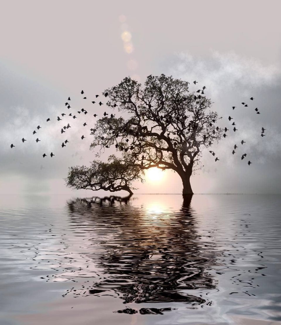 pixiteapps's tweet image. Repost: @ig_legit
©
~ Edit Perfectas ~
.
Photo by Patricia McKean @patriciamckean
The artist share the formula code: I wish I could remember what I did, but with this image, almost anything works. Additional apps #brainfeverapps (reflect and skylab apps) #unionapp #distressedfx