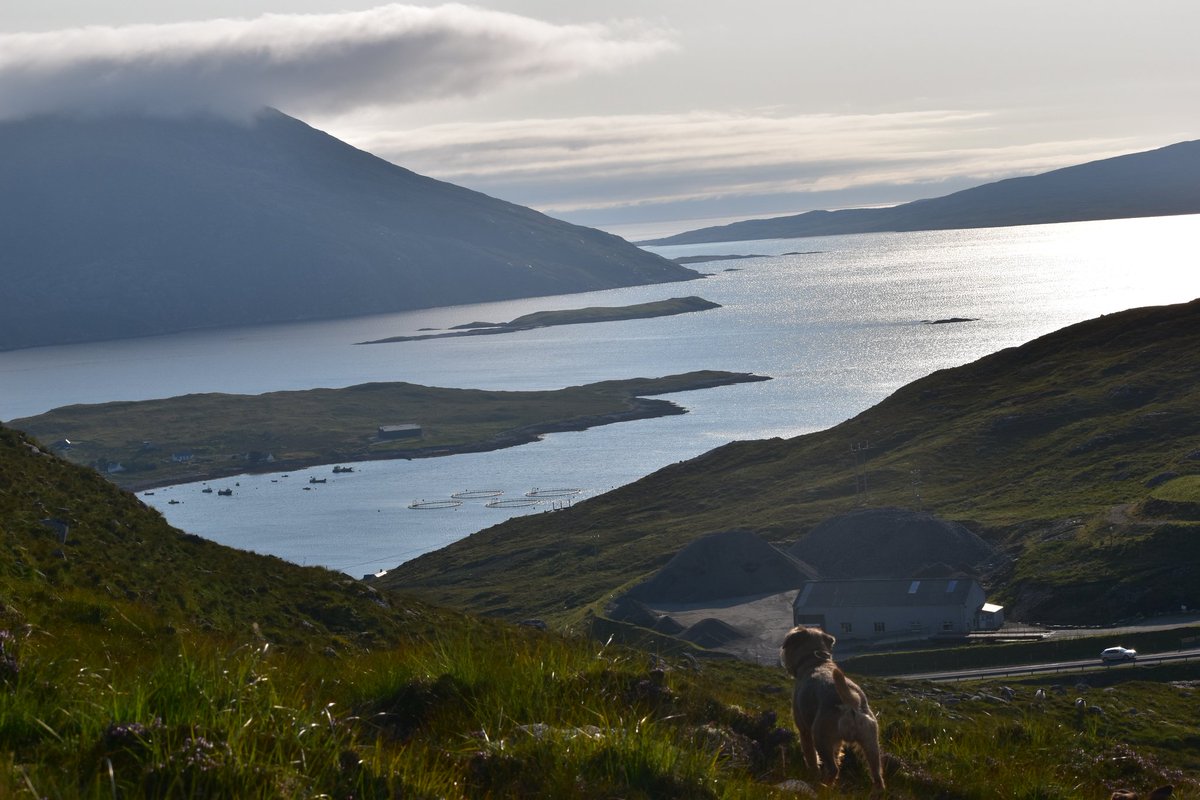 Isle of Harris ❤️